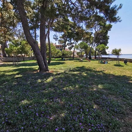 Nina Deluxe Superior 5 Star Apartment, Your Piece Of Heaven By The Sea & Park Novigrad Istria 외부 사진