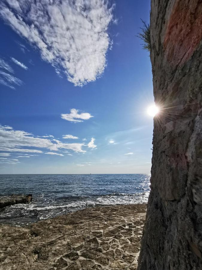 Nina Deluxe Superior 5 Star Apartment, Your Piece Of Heaven By The Sea & Park Novigrad Istria 외부 사진